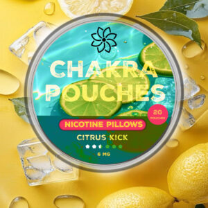 ChakraPouches - Citrus Kick (6MG )